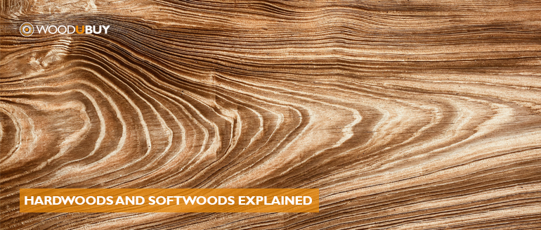 The Wood Databse Search Results