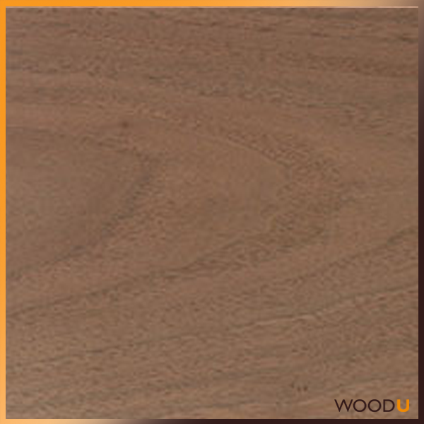 Black Walnut Wood Board - 3/4 X 9 X 36 Inches Kiln Dried Lumber